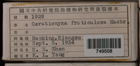 Image Associated With the Occurence